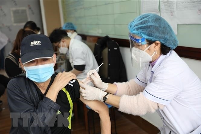 Viet Nam cap ho chieu vaccine, thu nghiem vaccine dang xit mui hinh anh 1