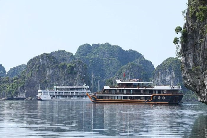  Nhiều du thuyền đưa du khách đi tham quan và nghỉ đêm trên thuyền ở Vịnh Lan Hạ. (Ảnh: Hoàng Hiếu/TTXVN) 