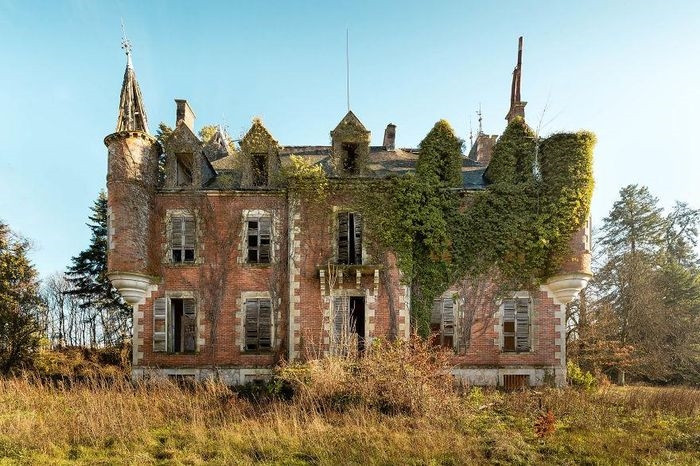 Một lâu đài bỏ hoang bị thảm thực vật xâm lấn nhưng vẫn toát lên vẻ nguy nga.