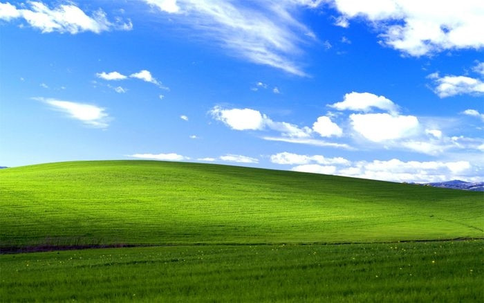 Bức ảnh đồi cỏ được sử dụng làm màn hình nền mặc định của Windows XP cách đây hơn 20 năm được thống kê là một trong những bức ảnh nhiều người xem nhất trên thế giới. Bức ảnh mang tên Bliss, được chụp bởi nhiếp ảnh gia Charles O'Rear vào năm 1996. Theo tác giả, bức ảnh chụp đồi cỏ xanh mướt sau mưa, phía trên là bầu trời xanh trong, gợn mây trắng tại vùng làm rượu vang ở thung lũng Napa (Mỹ)