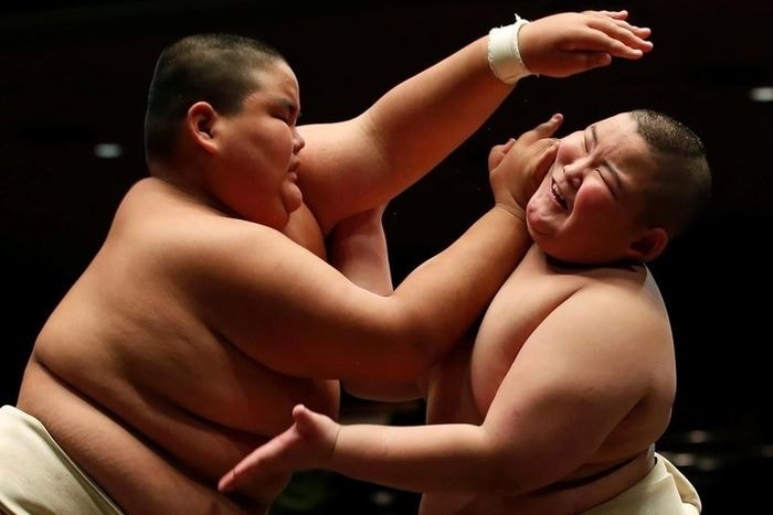  Sumo gặp khó khăn vì thiếu các võ sĩ trẻ, có thể lực và kỹ thuật tốt. Ảnh: Reuters. 