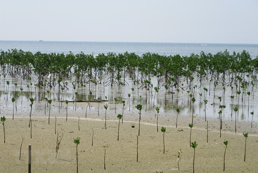 Gorgeous beauty of Nui Chua Biosphere Reserve hinh anh 2