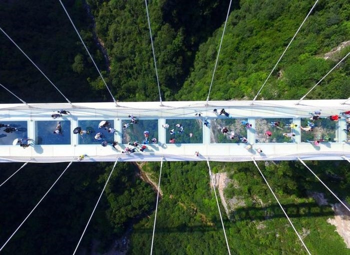 Đứng trên cầu này, du khách có thể nhìn thấy khung cảnh phía dưới từ độ cao hơn 300m. 