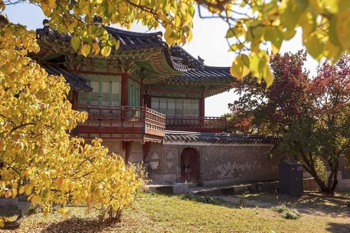  Mùa thu là thời điểm tuyệt vời nhất để ghé thăm Xứ sở Kim Chi, du khách sẽ được dạo bước trong bầu không khí se lạnh, ngắm những hàng cây lá vàng tuyệt đẹp và tham quan các cung điện ở Trung tâm Thủ đô Seoul (Hàn Quốc). (Ảnh: Anh Nguyên/TTXVN) 