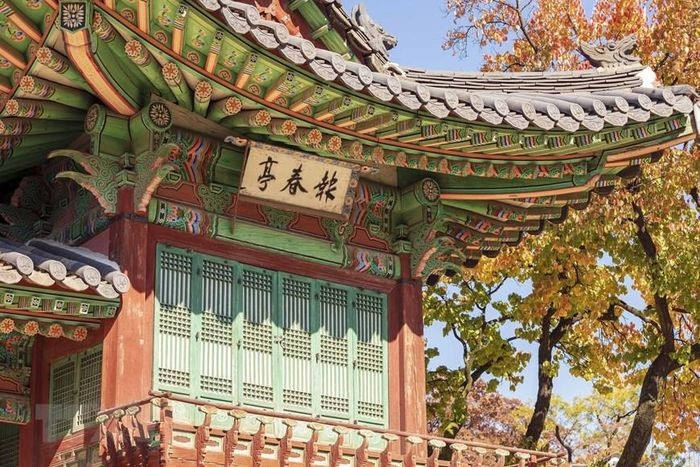  Mùa thu vàng tại Cung điện Changdeokgung, Cung lớn thứ 2 ở Thủ đô Seoul. (Ảnh: Anh Nguyên/TTXVN) 