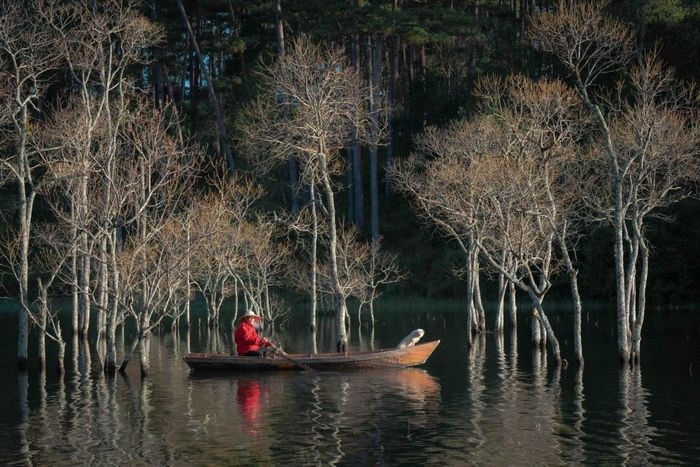 Bên cạnh vẻ đẹp vẹn nguyên như hồ ngọc giữa rừng thông thuở ban sơ, Suối Tía càng cuốn hút du khách hơn với rừng cây ngập nước trong làn sương sớm đầu ngày. Rừng chò ngập nước tại nhánh hồ này là điểm sáng tác 
