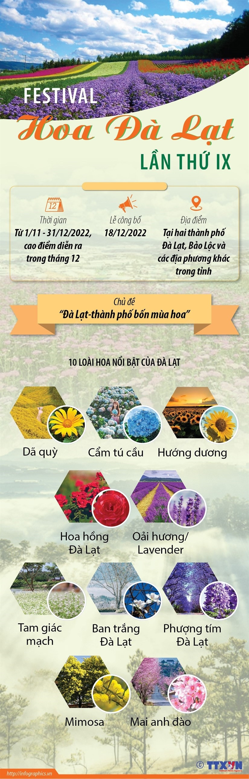 [Infographics] Festival Hoa Da Lat lan thu IX tai tinh Lam Dong hinh anh 1