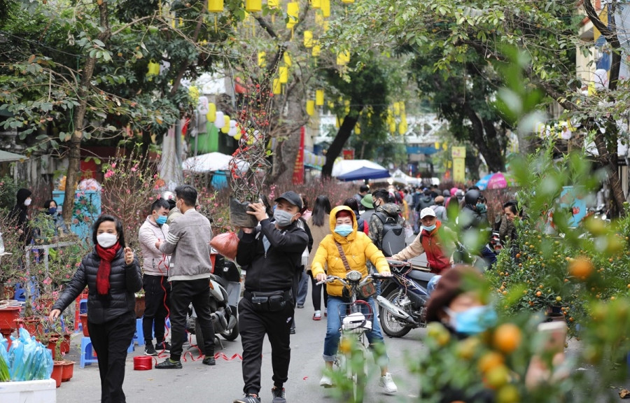 Chợ hoa truyền thống Hàng Lược hút khách ngày cận Tết. (Ảnh: Thanh Tùng/TTXVN)