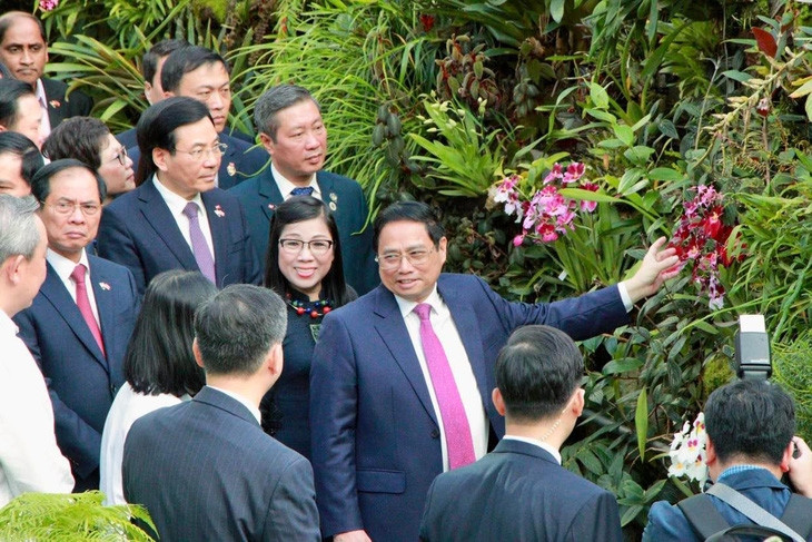 Singapore lấy tên Thủ tướng Phạm Minh Chính và phu nhân đặt cho loài hoa lan mới - Ảnh 2.