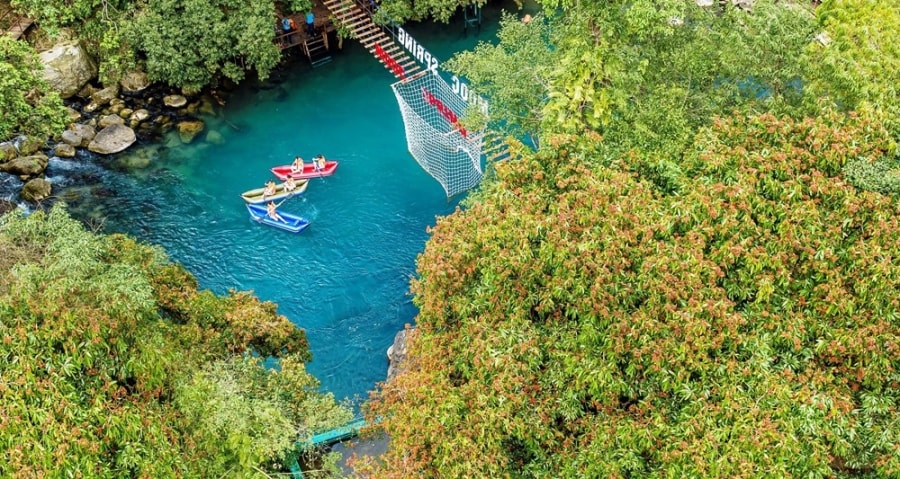 Vibrant saraca indica flowers in Phong Nha - Ke Bang National Park hinh anh 1