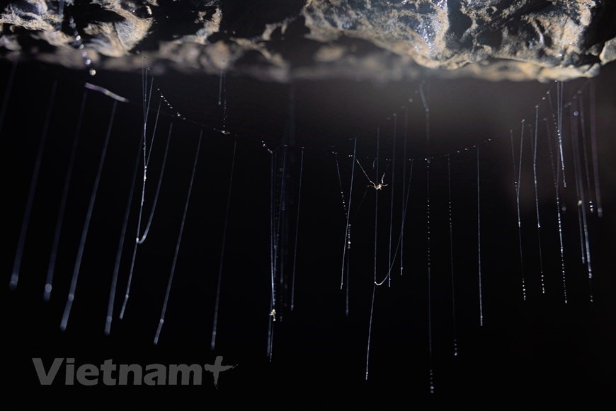 Exploring waterfall in million-year-old cave hinh anh 2