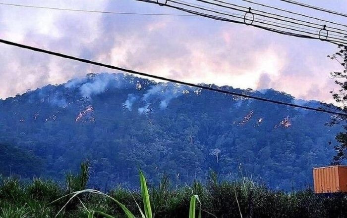 Ngọn lửa bắt đầu từ khoảng 15h ngày 7/4 tại tiểu khu 267A (thuộc địa bàn phường 3, TP Đà Lạt, tỉnh Lâm Đồng). Đến khoảng 19h cùng ngày, đám cháy bùng lên dữ dội.