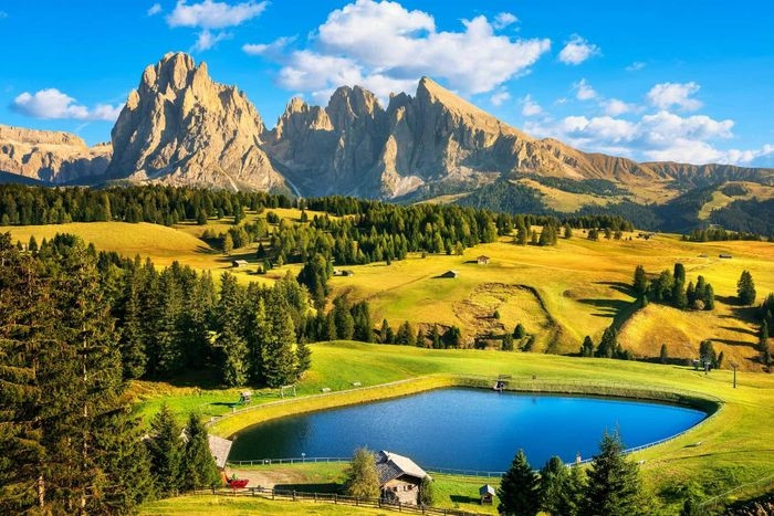  Đường lên đồng cỏ Alpe di Siusi cấm phương tiện cá nhân từ 9h đến 17h. Du khách phải di chuyển bằng Ảnh: StevanZZ/Shutterstock. 