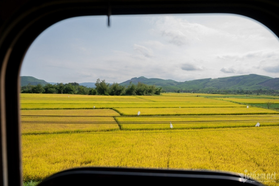 foreign tourists explore vietnamese landscapes by train picture 5