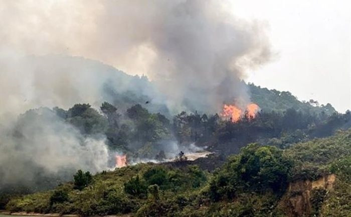 Cháy rừng ở đảo Vĩnh Thực (TP Móng Cái, Quảng Ninh) hồi tháng 12/2022. (Ảnh minh họa: TTXVN phát)