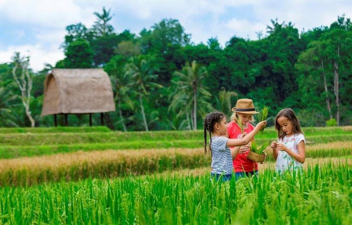 Hayc cho trẻ em cơ hội trải nghiệm và khám phá thiên nhiên, văn hóa bản địa kỳ nghỉ Hè thêm sắc màu ý nghĩa. (Ảnh: CTV/Vietnam+)