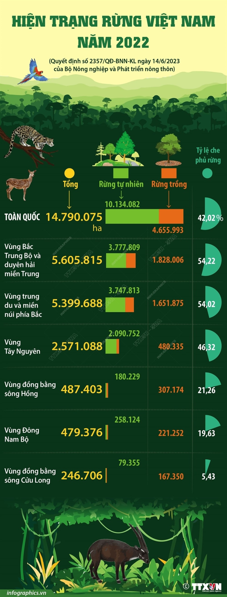 [Infographics] Tong quan ve hien trang rung Viet Nam nam 2022 hinh anh 1