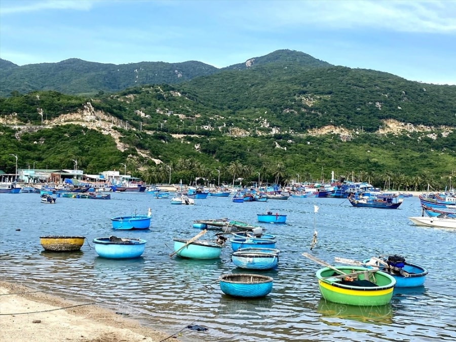 Vinh Hy Bay among top four stunning bays in Vietnam hinh anh 5