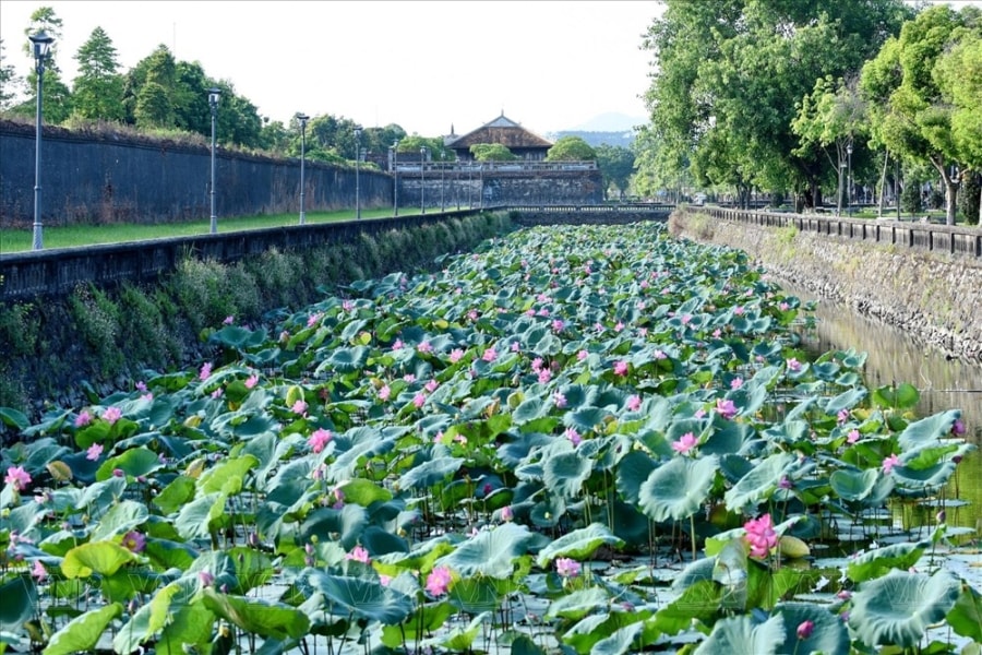 Hue - A vibrant summer destination hinh anh 7