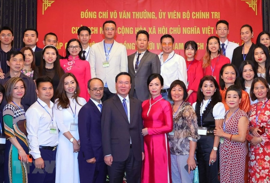 [Photo] Nhung hoat dong dau tien cua Chu tich nuoc tai Cong hoa Ao hinh anh 16