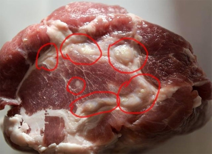 Dấu hiện nhận biết thịt lợn bệnh: Những đốm trắng trong hình là biểu hiện của lợn gạo (nhiễm sán).