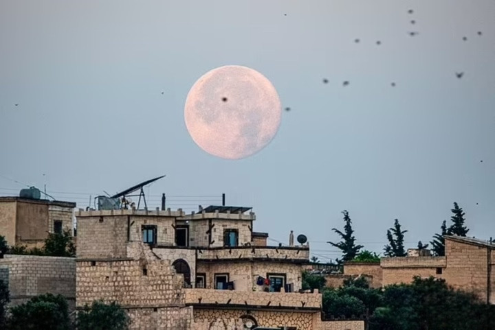 Siêu trăng khổng lồ trong quá trình mọc và lặn ở làng Deir Ballout, phía tây bắc Syria, vào ngày 4/7/2023. (Ảnh: Shutterstock)