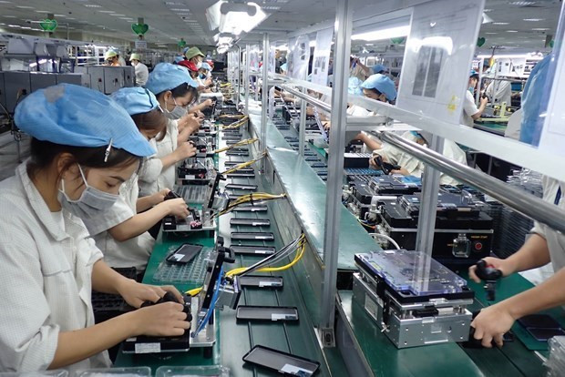 Record number of new firms seen in eight months hinh anh 2
