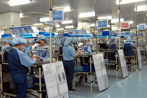 Record number of new firms seen in eight months hinh anh 1