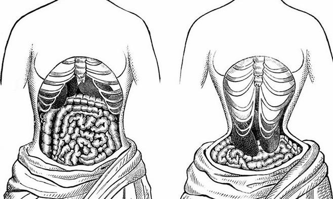 Mô phỏng các cơ quan trong cơ thể bị biến đổi do dùng đai nịt bụng. Ảnh: Pulse