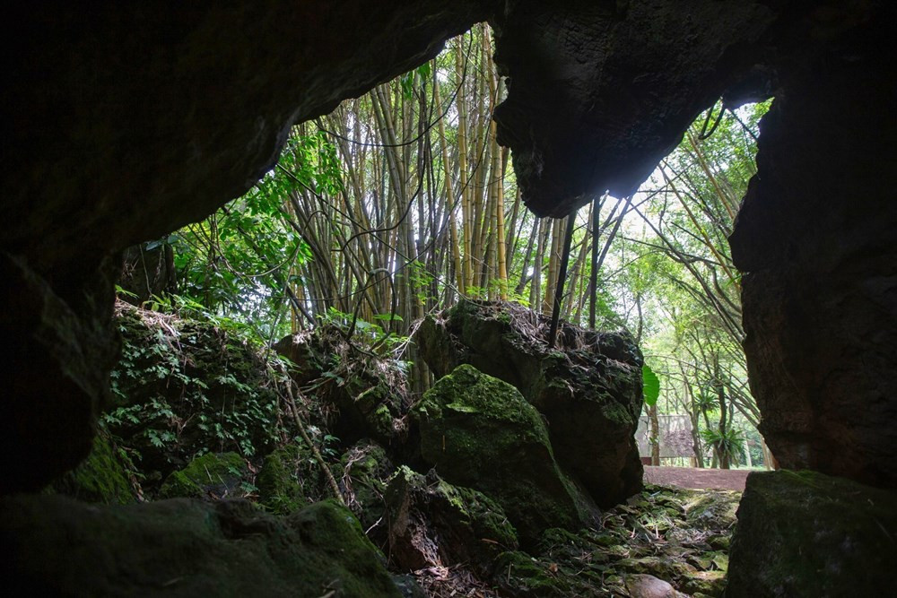 Forgotten beauty of Tien Phi Cave in Hoa Binh province hinh anh 1