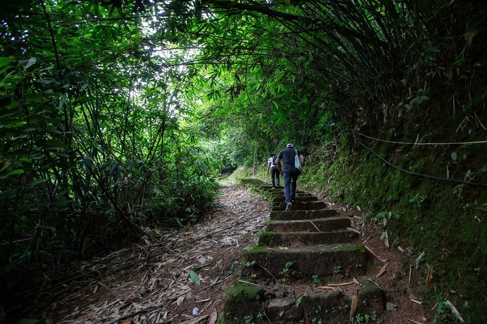 Forgotten beauty of Tien Phi Cave in Hoa Binh province hinh anh 2