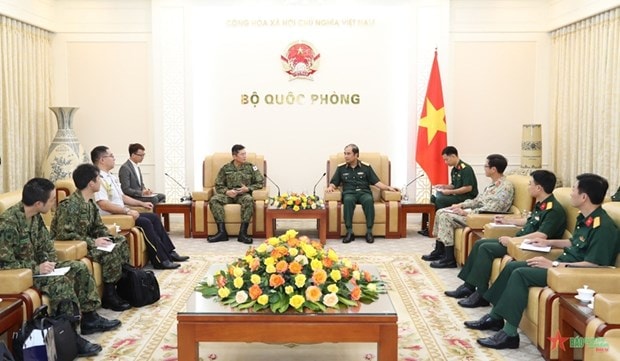 Vietnam, Japan promote partnership in UN peacekeeping operations hinh anh 1