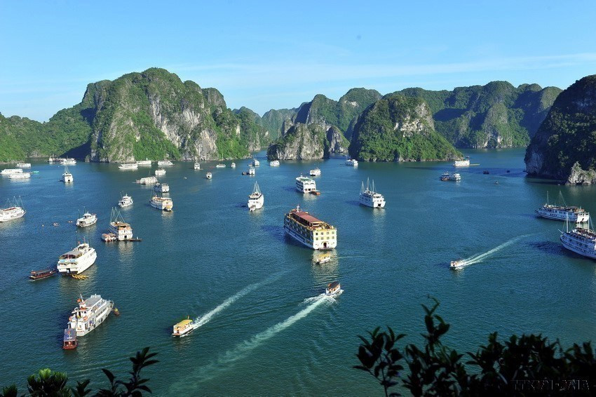 Ha Long Bay-Cat Ba Archipelago recognised as world heritage hinh anh 2