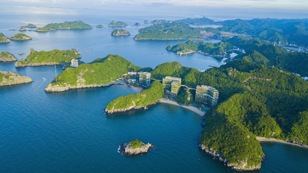 Ha Long Bay-Cat Ba Archipelago recognised as world heritage hinh anh 6