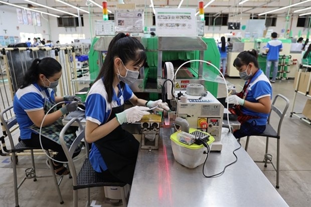 Labour ministry proposes delay of 2024 regional minimum wage increase hinh anh 1