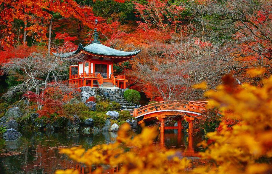 Đền Daigo-ji tại Kyoto vào mùa thu. Ảnh: Noppawat