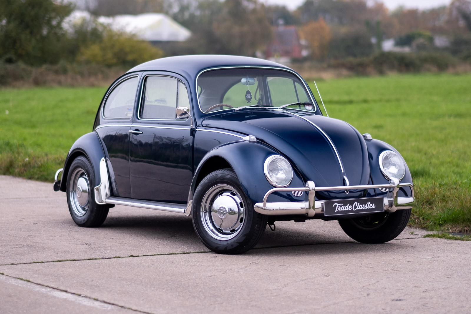 volkswagen beetle.jpg