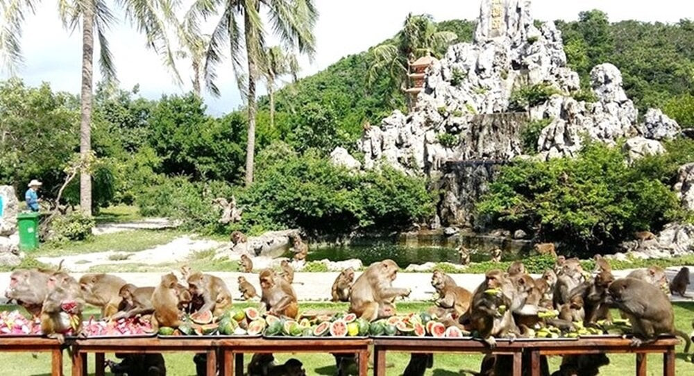Đảo Khỉ ở Nha Trang