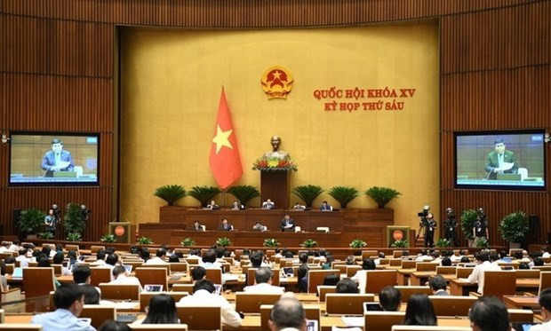 Government members, heads of sectors grilled at NA’s meeting hinh anh 1