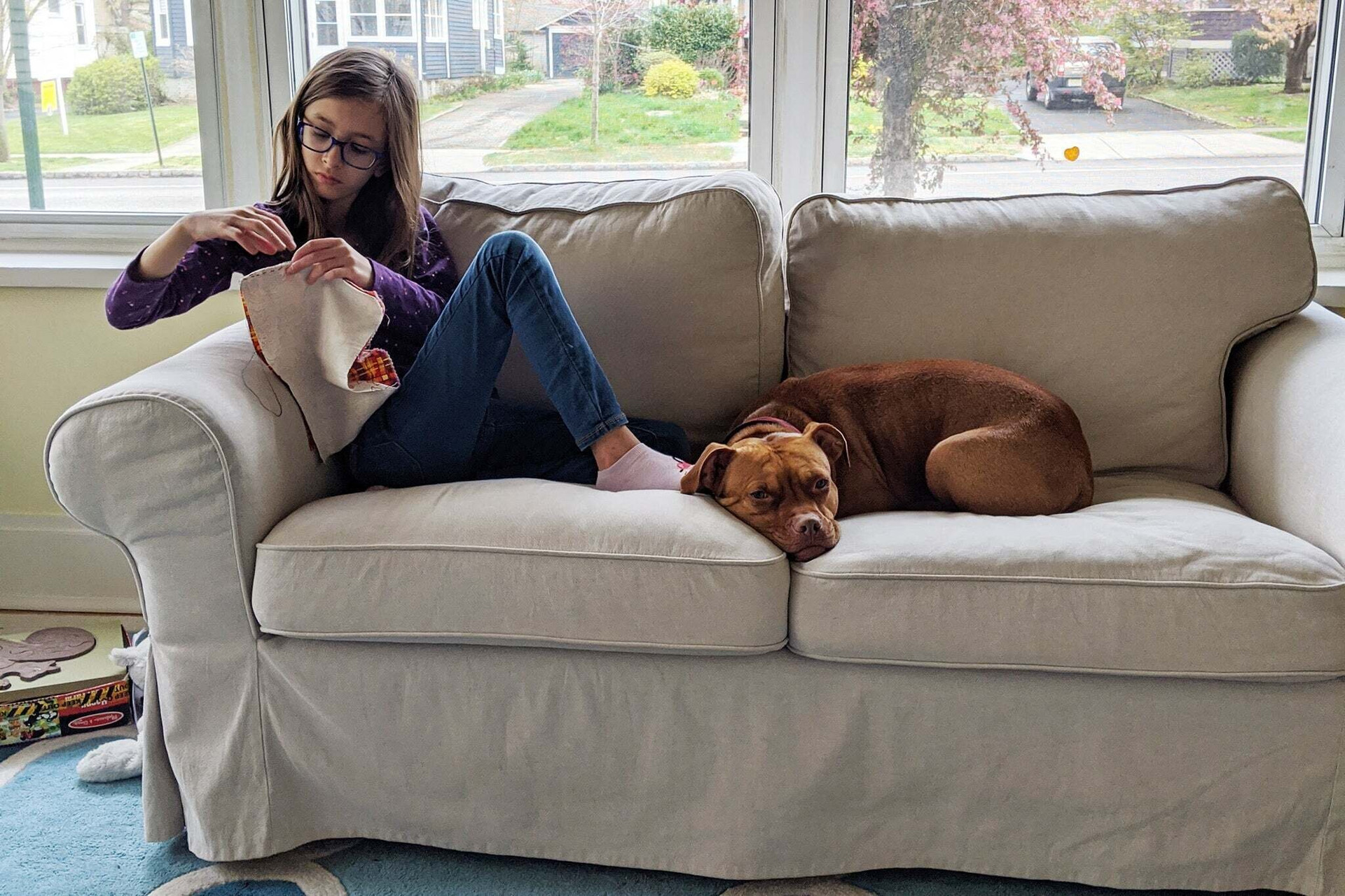 Nếu nhà bạn nuôi thú cưng hoặc có trẻ em, vải bọc và đệm của ghế phòng khách có thể xuất hiện mùi khó chịu. (Ảnh:The New York Time)