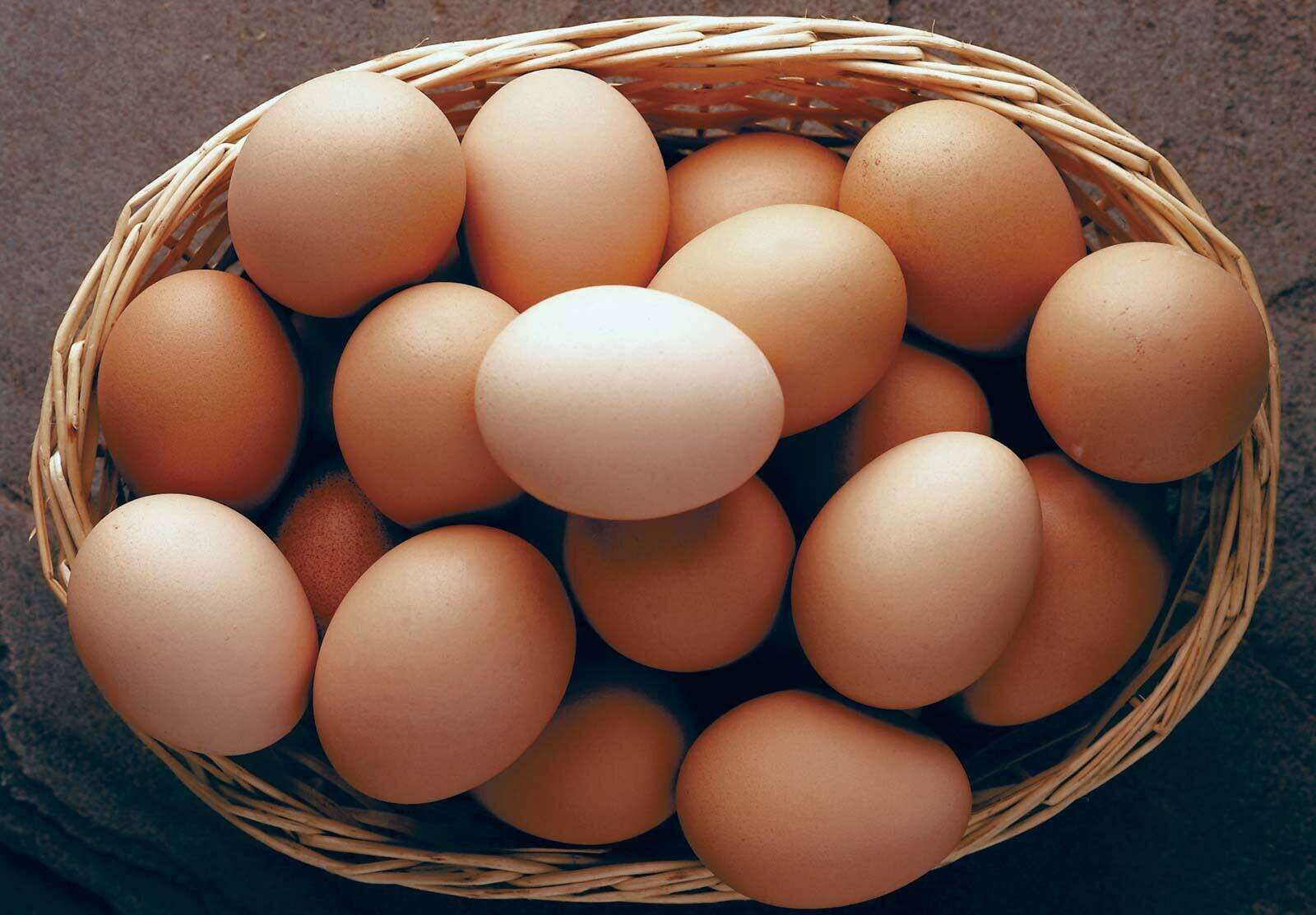 Quả trứng mới, ngon sẽ có lớp vỏ ngoài sáng bóng, mịn và không bị nứt. (Ảnh: Pastures Poultry)