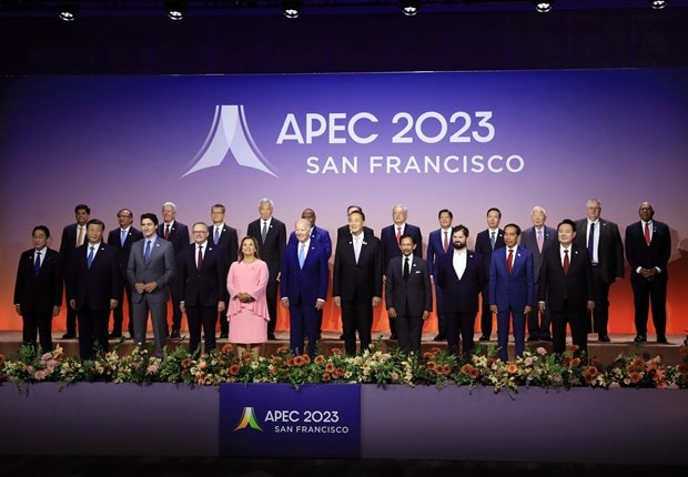 APEC members appreciate Vietnam’s practical, constructive contributions: FM hinh anh 1