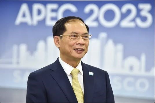 APEC members appreciate Vietnam’s practical, constructive contributions: FM hinh anh 2