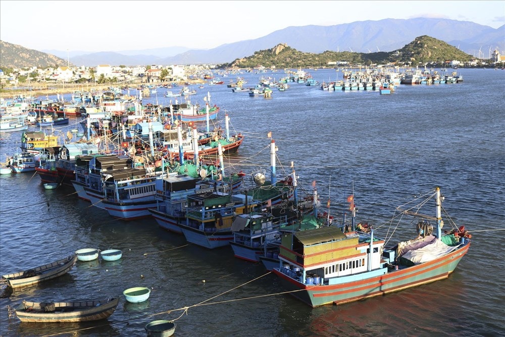 Vietnam building sustainable fisheries sector hinh anh 1