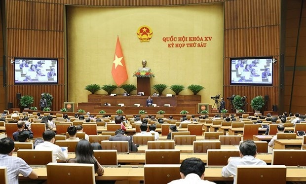 National Assembly to pass five laws this week hinh anh 1