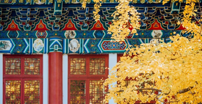 Cảnh sắc mùa thu trong khuôn viên Đại học Bắc Kinh, trường top 20 thế giới của Trung Quốc. Ảnh: Chu Zhaohan/Peking University