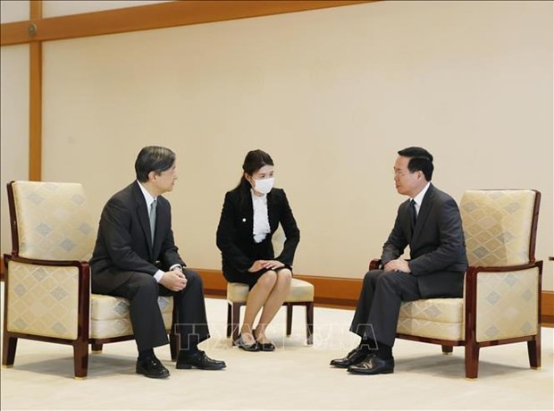 President Vo Van Thuong meets with Japanese Emperor, Empress hinh anh 1