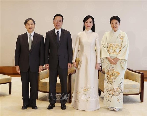 President Vo Van Thuong meets with Japanese Emperor, Empress hinh anh 2