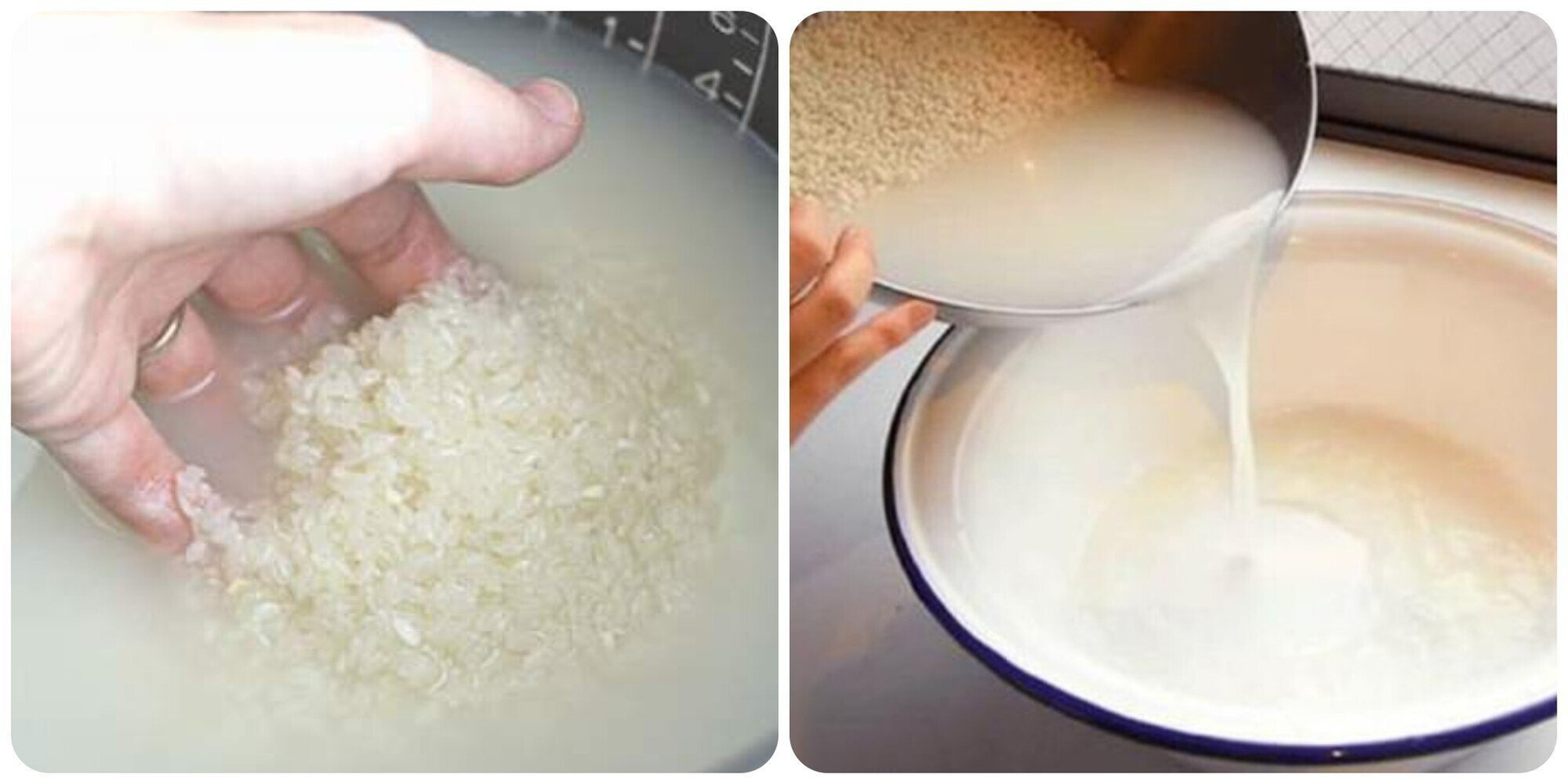 Có không ít tranh cãi xoay quanh việc vo gạo trước khi nấu cơm