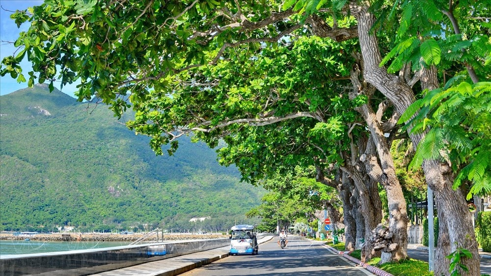 Con Dao - Paradise in the middle of the ocean hinh anh 6